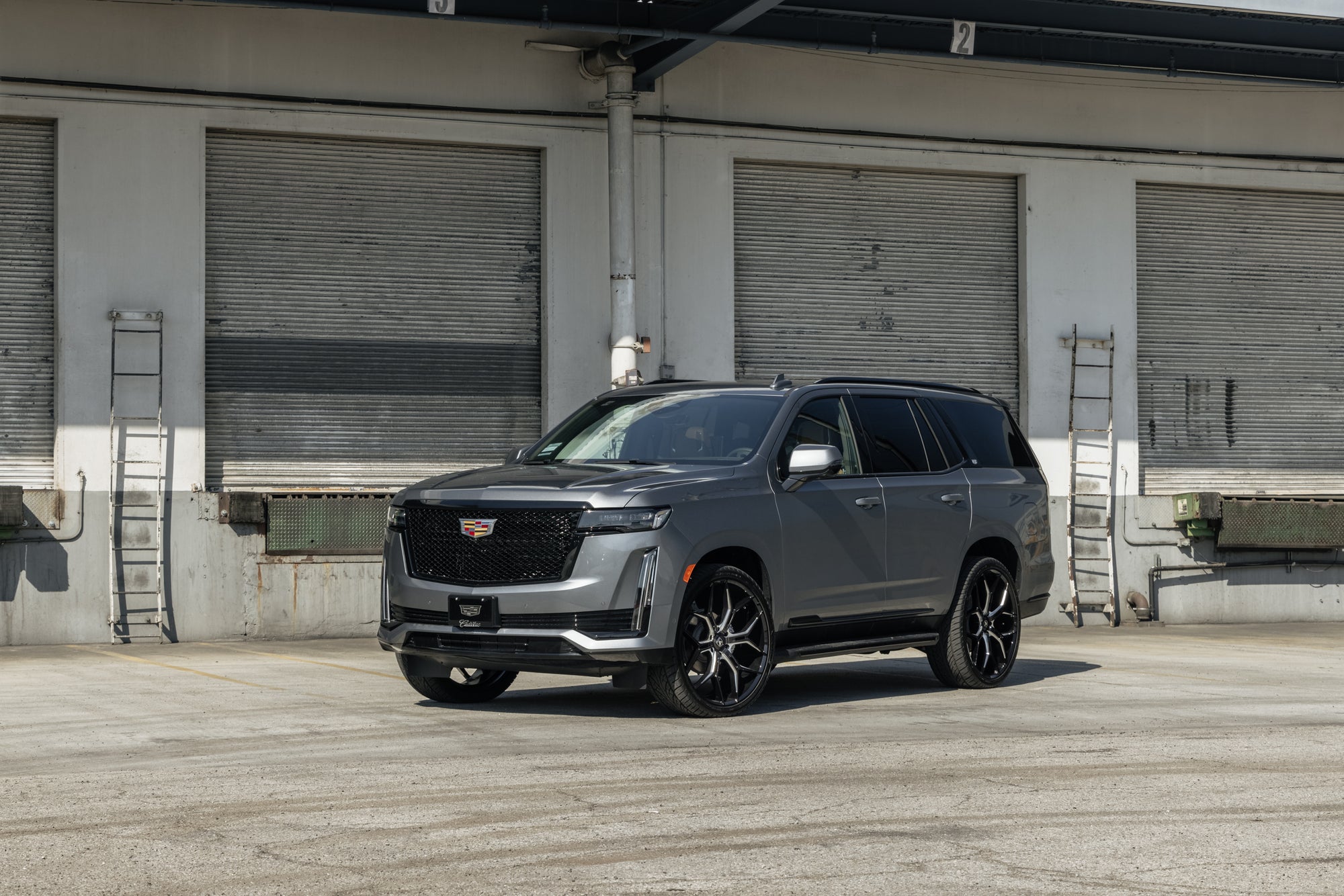 No Credit? No Problem.